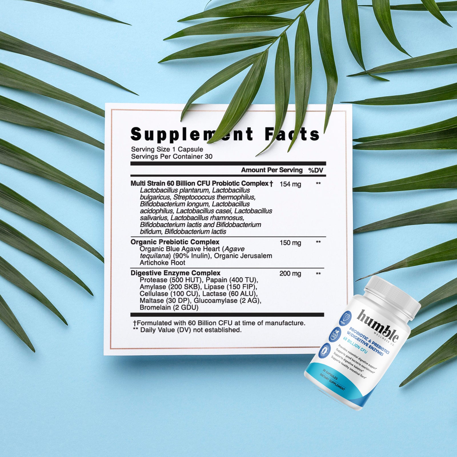 Maximum Strength Probiotic & Prebiotic with Digestive Enzymes