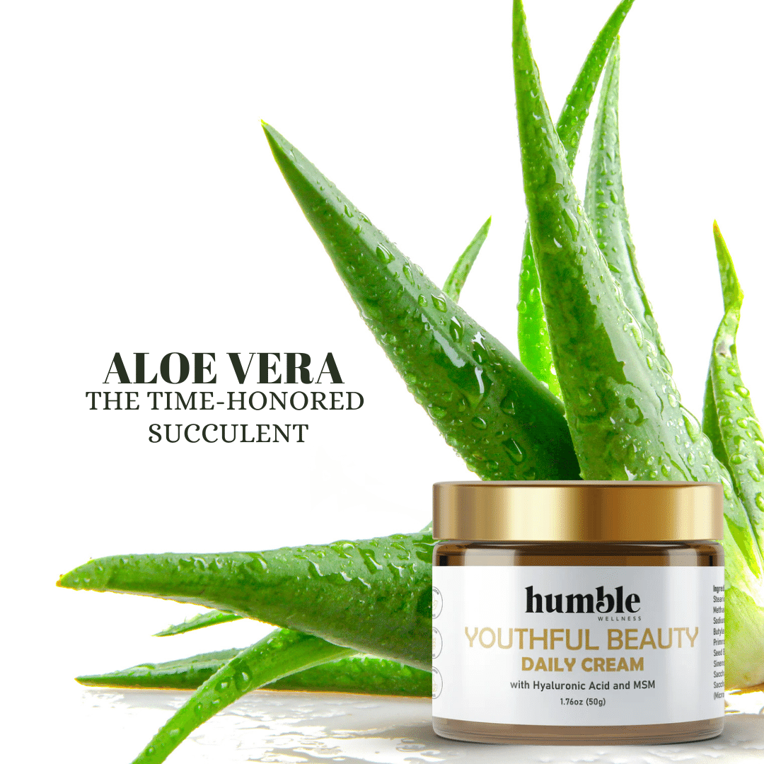 Unlocking the Beauty Secrets: 5 Remarkable Benefits of Aloe Vera in Daily Cream